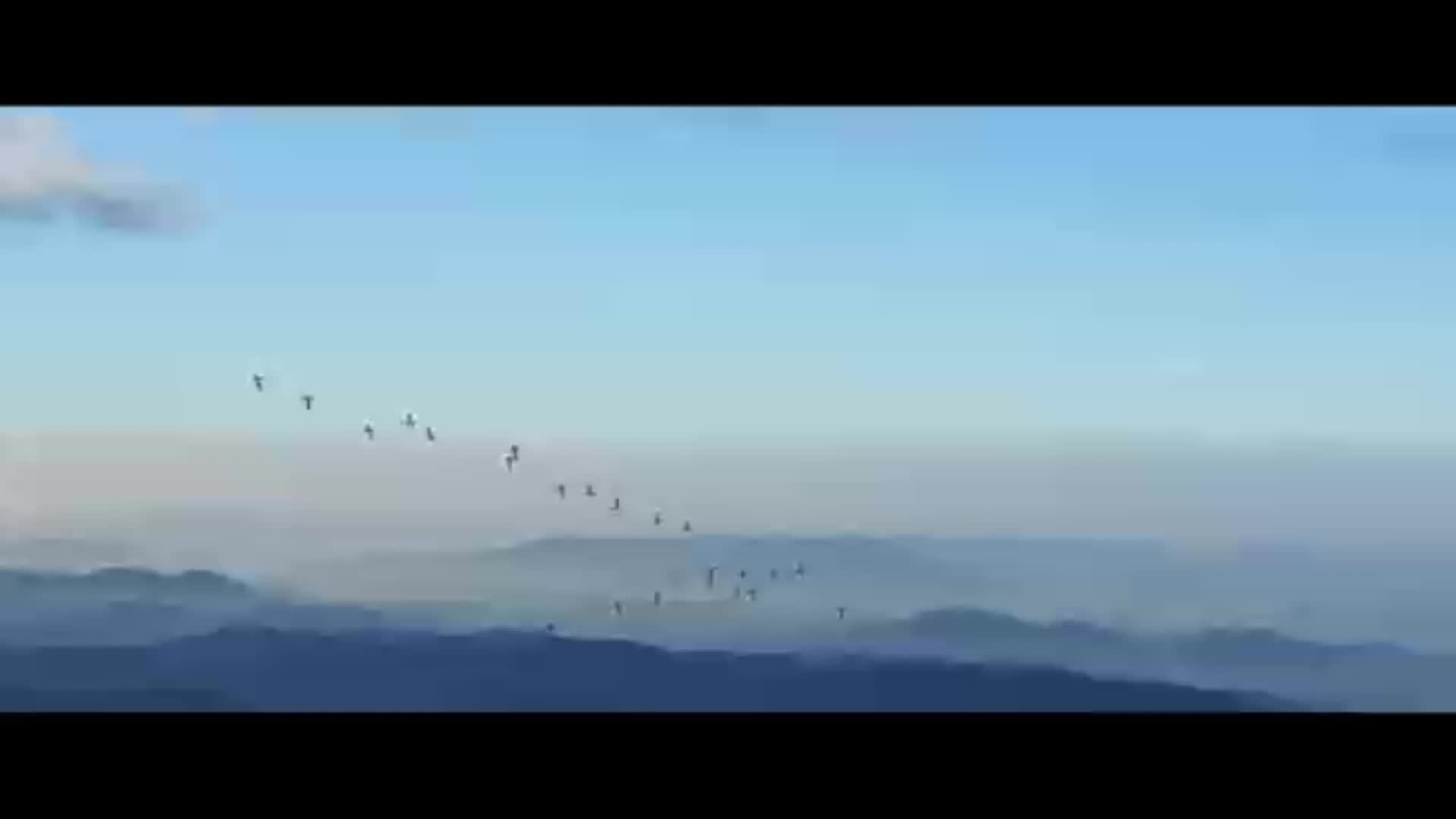 公益广告丨不打扰·共守护