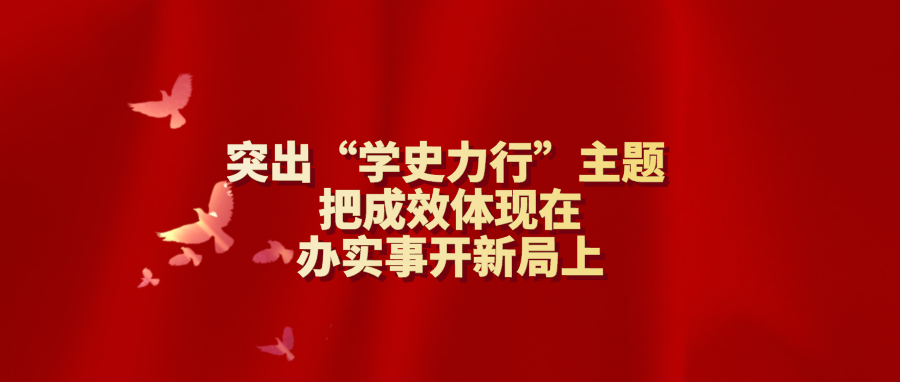 突出“学史力行”主题 把成效体现在办实事开新局上