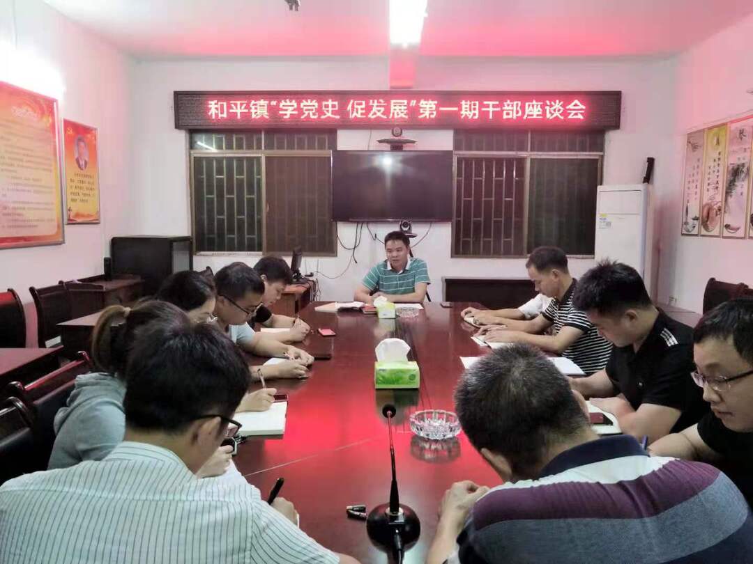 和平镇召开“学党史▪促发展”第一期干部座谈会