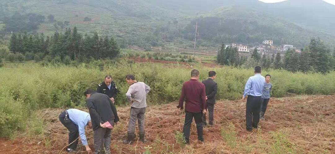 桂阳县公安局森林大队成功化解两起山林纠纷