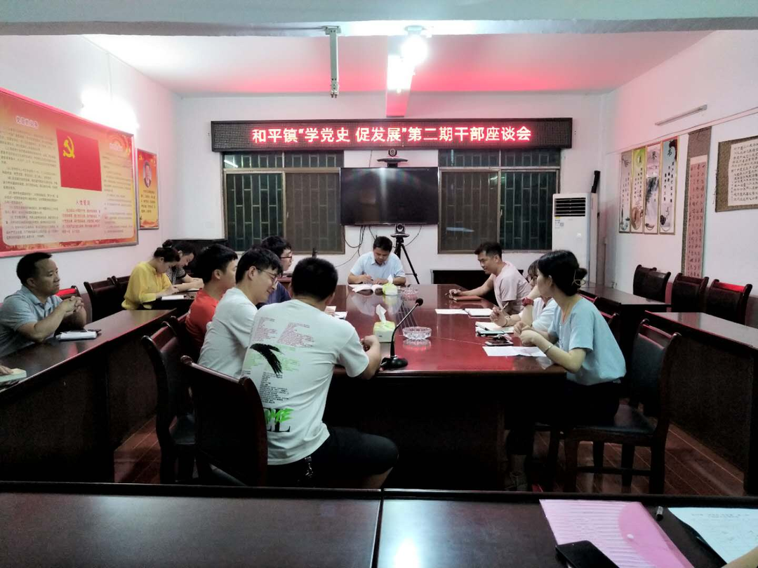 和平镇开展“学党史 促发展”第二期干部座谈会