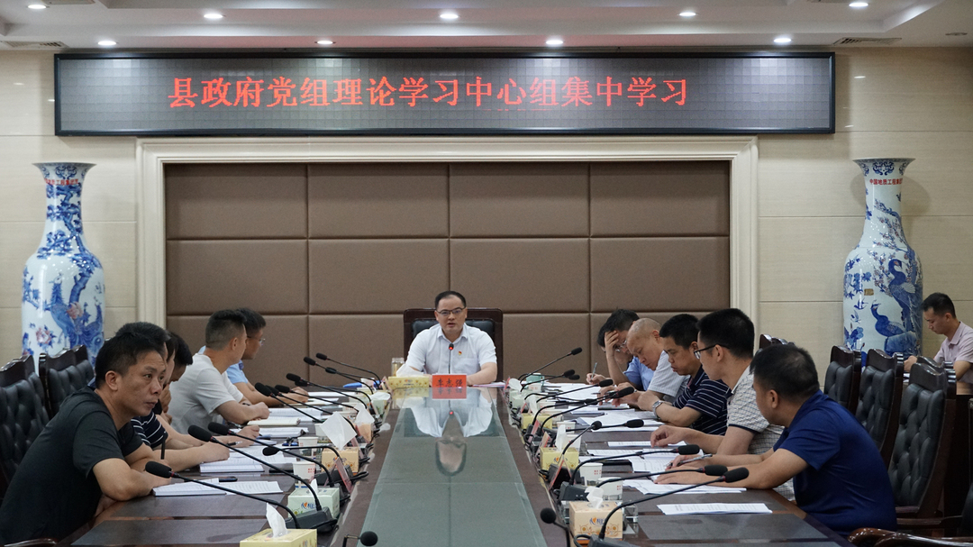 县政府党组理论学习中心组举行集体学习暨党史学习教育“学史力行”专题学习