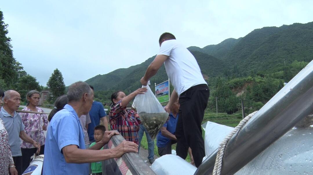 白水瑶族乡开展禾花鱼集中投放活动