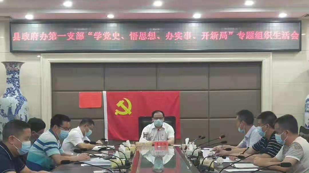 县政府办公室机关第一支部召开“学党史 悟思想 办实事 开新局”专题组织生活会