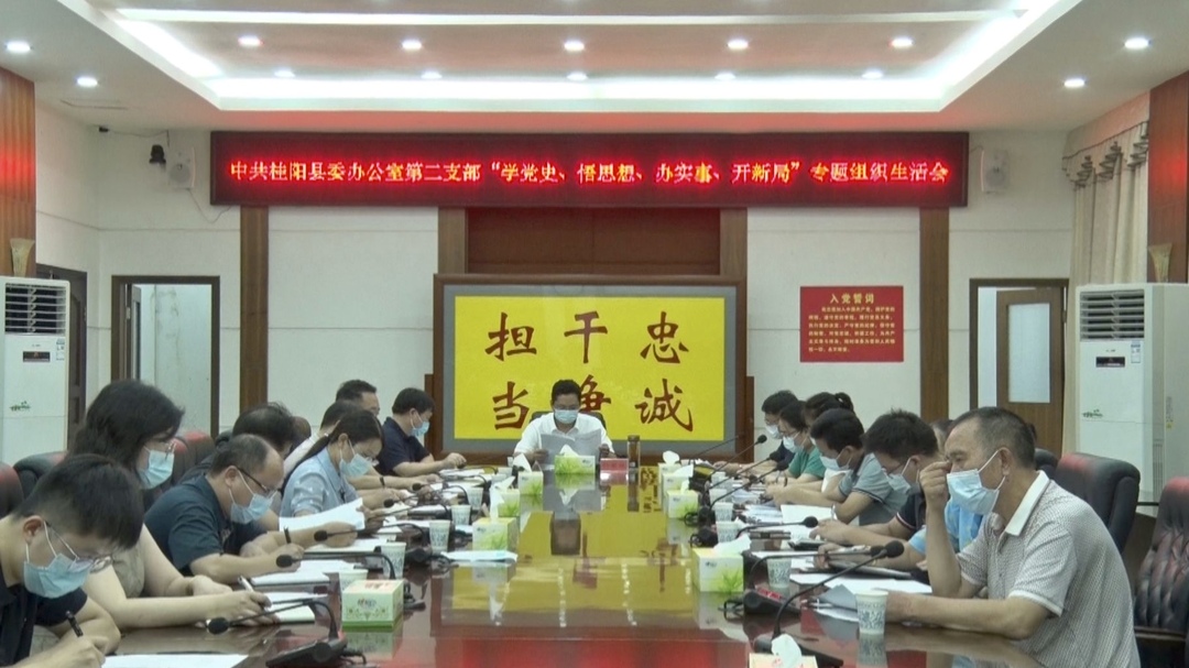 县委办第二党支部“学党史 悟思想 办实事 开新局”专题组织生活会召开