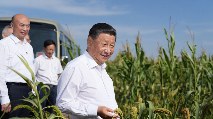 学习进行时｜习近平和陕北的故事