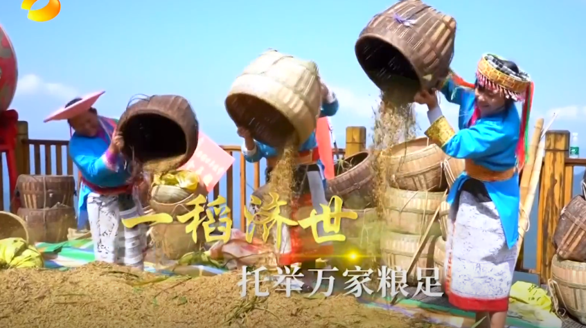 庆丰收 感党恩 | 稻花“湘”里说丰年