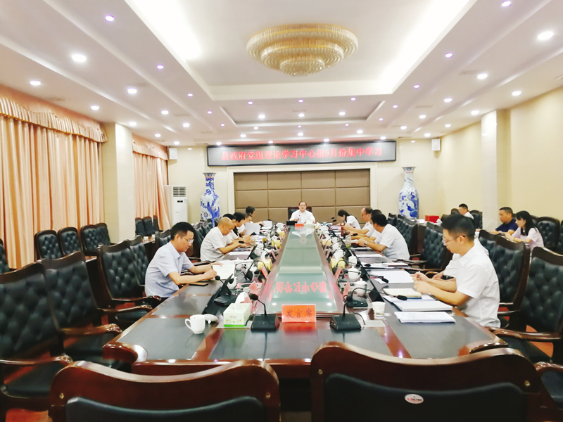 李志强主持召开县政府党组理论学习中心组集中学习会议