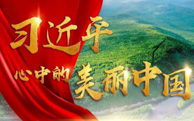 学习进行时丨习近平心中的美丽中国