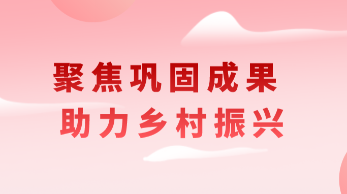 洋市镇南衙村：聚焦巩固成果 助力乡村振兴
