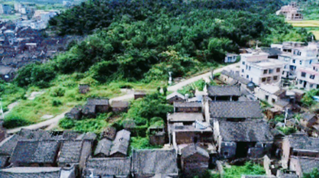 乡村档案 | 茶香飘万里，欢迎来到荷叶干塘村