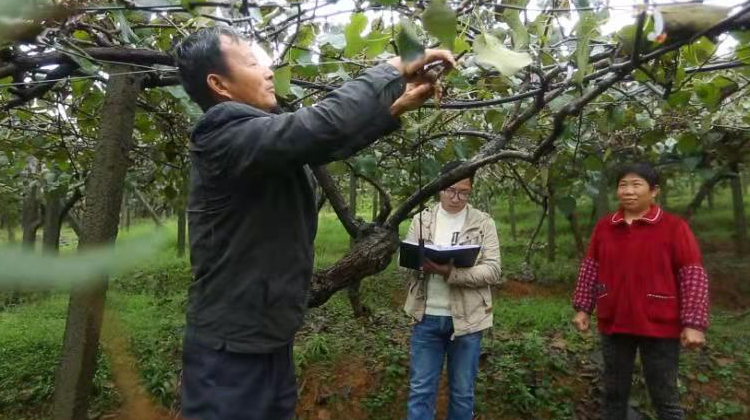 乡村振兴在桂阳 | 家庭农场成乡村振兴生力军