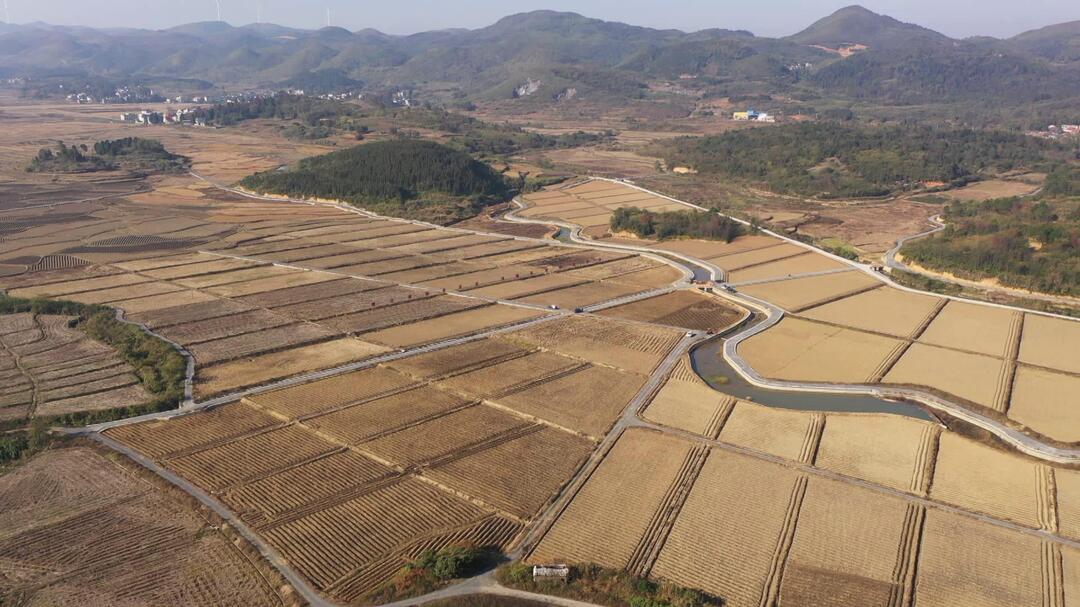 我县8万亩高标准农田建设加速推进 让“饭碗”端得更牢