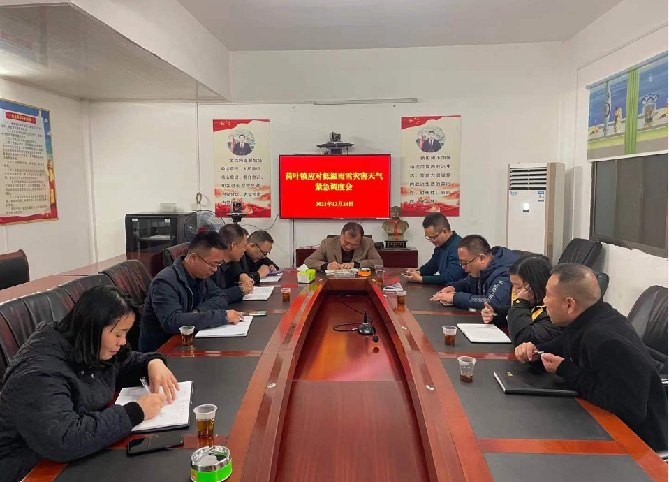 荷叶镇：党员干部齐上阵，积极应对低温雨雪冰冻天气