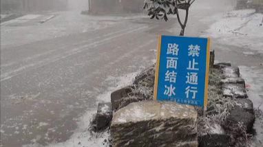 抗击冰雪见行动 上门服务送温暖一一桂阳县雷坪镇开展为群众办实事实践活动
