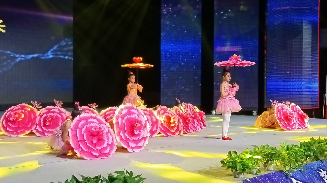 与舞同行 化茧成蝶| 金莺舞蹈、琦琦芭蕾舞蹈举办7周年汇演