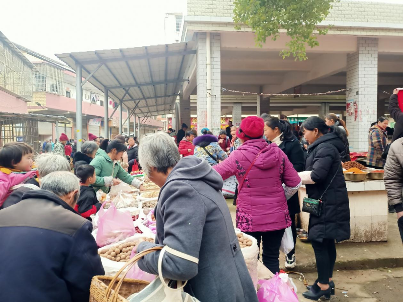 春节临近 桥市乡赶圩场好热闹