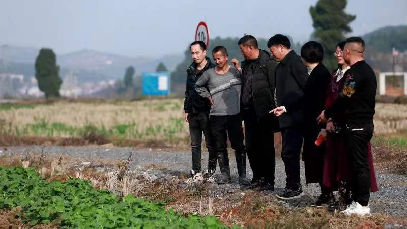 干在实处 走在前列 | 正和镇： 传红推绿  构筑全方位开放发展新格局