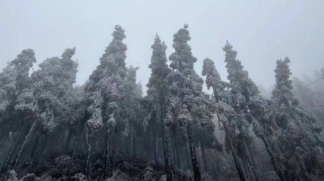 组图 | 桂阳雷坪：雾凇美景上线
