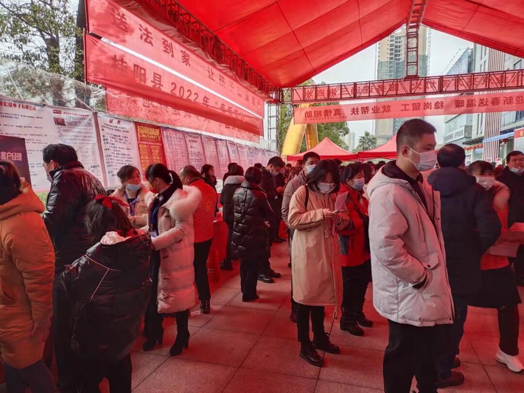 桂阳县残联联合开展“春风行动” 现场招聘会