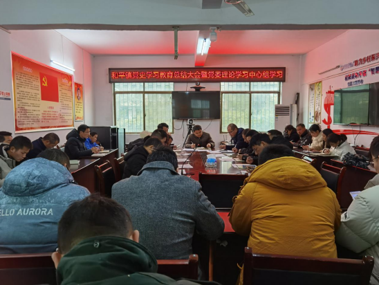 桂阳县和平镇召开党史学习教育总结大会