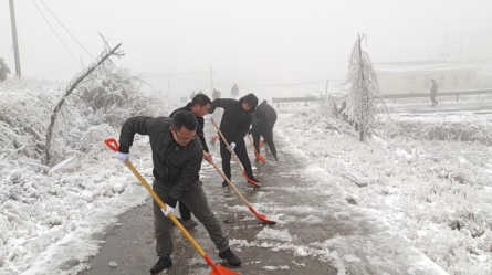 荷叶镇：浴“雪”奋战 负重前行