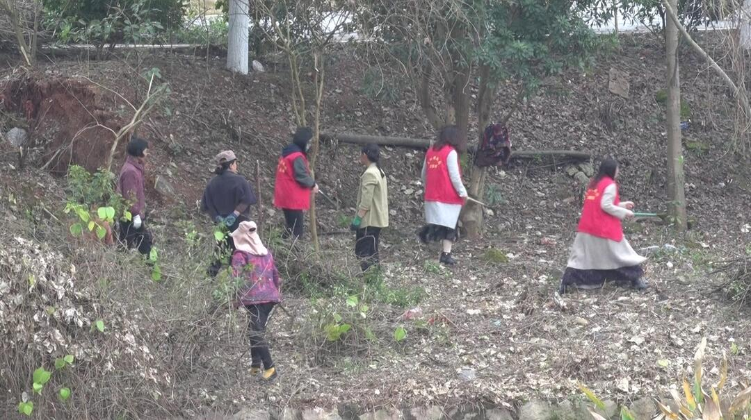 庆“三八”国际妇女节|正和镇开展“西河环境整治巾帼行”暨乡村振兴女性主题微宣讲活动