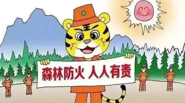 图解！森林防火小知识！