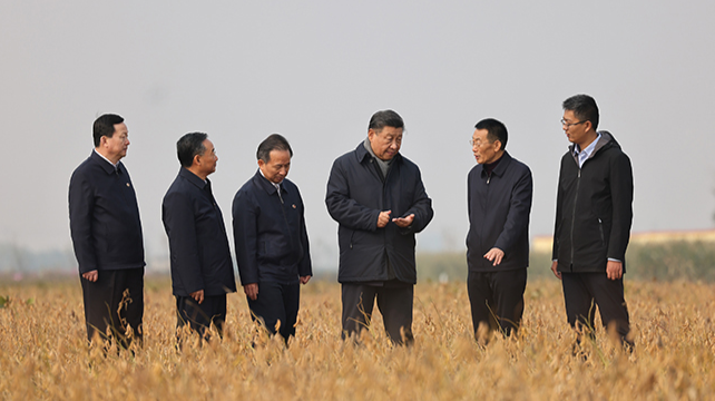 学习进行时丨田埂上的叮嘱，习近平对这件事非常重视
