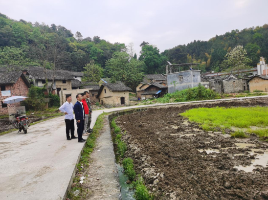塘市镇：对占耕地挖塘说“不”
