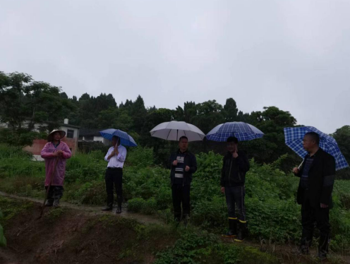 仁义镇：深入开展汛情检查，全力做好防汛工作