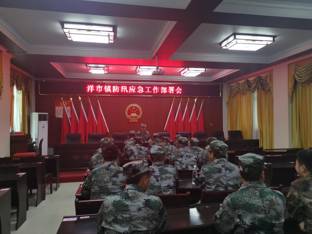洋市镇基干民兵筑起“迷彩防线”  全力备战防汛抢险