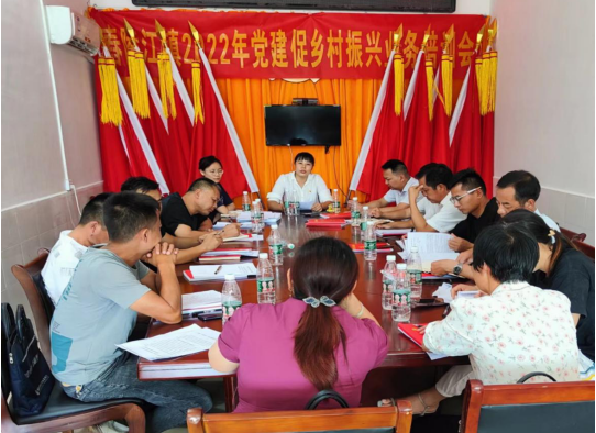 划片培训强实效  党建引领促发展