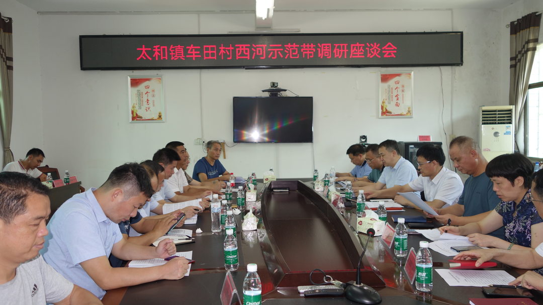 潘执坤副主席深入西河示范带开展调研