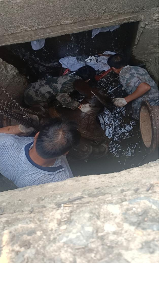 舂陵江：抢修水轮泵   抗旱护苗保丰收