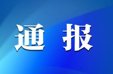 致全市人民和电力用户节约有序用电倡议书