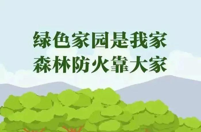 图解！森林防火小知识！