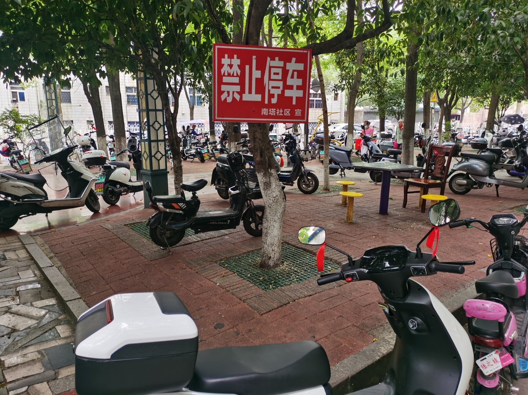 桂阳创文在行动——曝光台 | 秒变“停车场”的城市绿岛