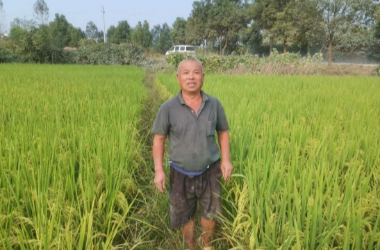 塘市镇江溪村：织牢抗旱网 全力保丰收