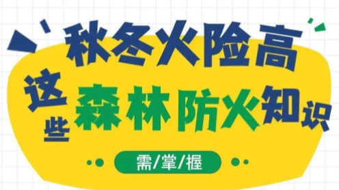 截至10月31日，这些行为严令禁止！