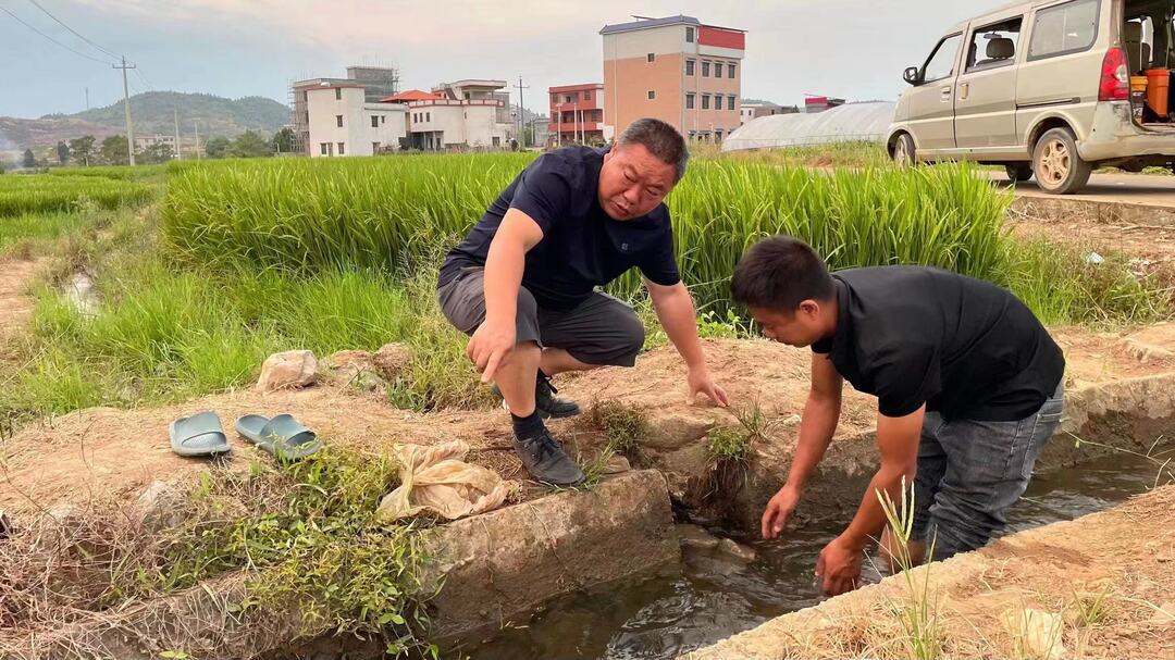 舂陵江镇理坪村:乡村振兴工作队积极抗旱保丰收