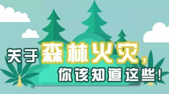 森林防火！您也是守护万里林海的那一个！