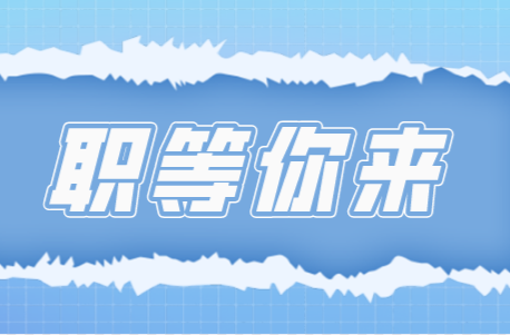 11月份供职信息