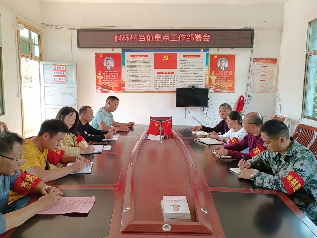 万名干部下基层 排忧解难促发展 | 县委驻桥市乡桐林村重点工作特派组聚焦民生解难题