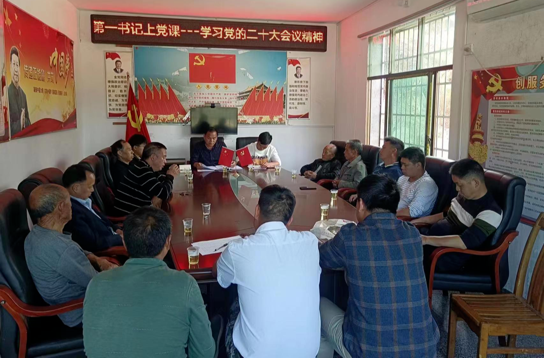 莲塘镇潘泉村：深入学习宣传贯彻党的二十大精神，助推乡村振兴再上新台阶