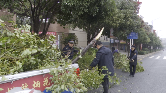 积极应对低温雨雪冰冻天气             我县各部门清理倒伏折枝树木 保障群众出行安全