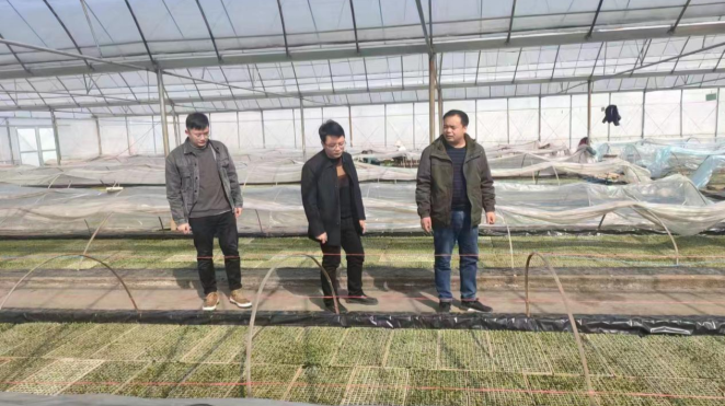 樟市镇：开工第一天   实干展作为