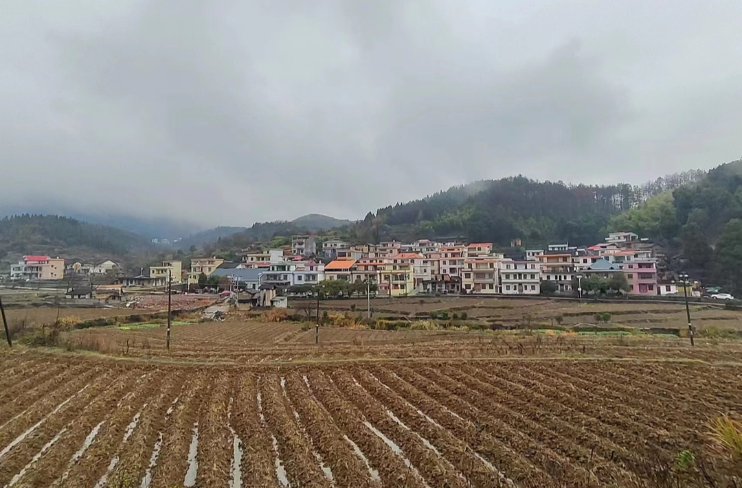 举全县之力 办好旅发会 | 桥市乡：促进城乡风貌提质 建设生态文明村庄