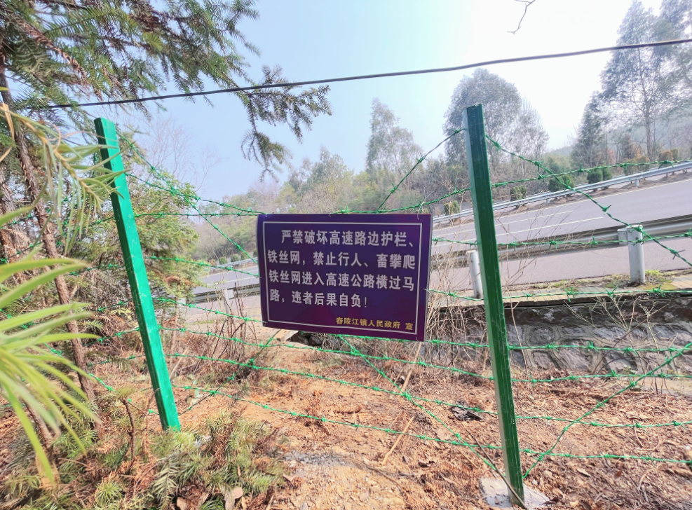舂陵江镇：开展高速公路沿线安全隐患整治工作