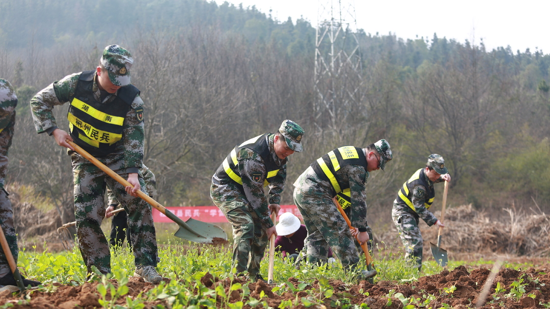 桂阳：700余民兵助春耕 不负农时不负春
